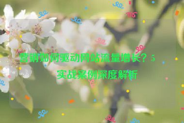營(yíng)銷如何驅(qū)動(dòng)網(wǎng)站流量增長(zhǎng)？5個(gè)實(shí)戰(zhàn)案例深度解析
