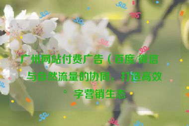 廣州網(wǎng)站付費廣告（百度/微信）與自然流量的協(xié)同，打造高效數(shù)字營銷生態(tài)