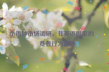 小語(yǔ)種市場(chǎng)調(diào)研，非英語(yǔ)國(guó)家的消費(fèi)者行為報(bào)告