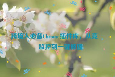 跨境人必備Chrome插件庫，從競(jìng)品監(jiān)控到一鍵修圖
