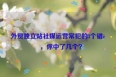 外貿(mào)獨(dú)立站社媒運(yùn)營(yíng)常犯的3個(gè)錯(cuò)誤，你中了幾個(gè)？