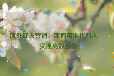 海外紅人營銷，如何精準(zhǔn)找對人并實現(xiàn)高效合作？