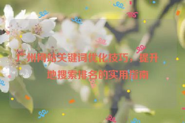 廣州網(wǎng)站關(guān)鍵詞優(yōu)化技巧，提升本地搜索排名的實用指南