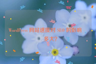 WordPress 網(wǎng)站速度對 SEO 的影響有多大？