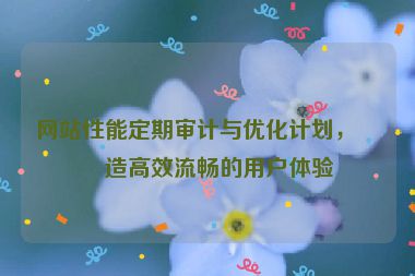 網(wǎng)站性能定期審計與優(yōu)化計劃，打造高效流暢的用戶體驗