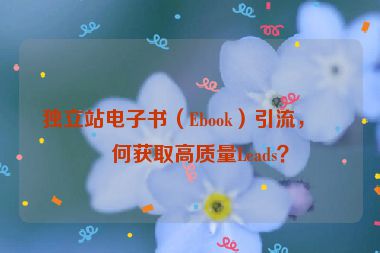 獨(dú)立站電子書（Ebook）引流，如何獲取高質(zhì)量Leads？