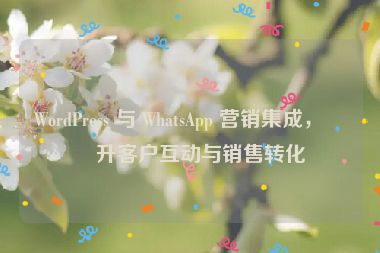 WordPress 與 WhatsApp 營(yíng)銷(xiāo)集成，提升客戶(hù)互動(dòng)與銷(xiāo)售轉(zhuǎn)化