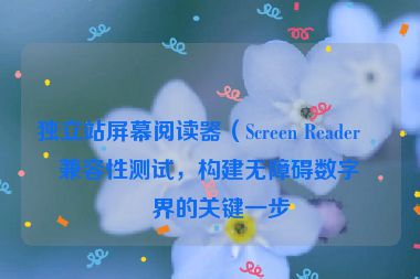 獨(dú)立站屏幕閱讀器（Screen Reader）兼容性測(cè)試，構(gòu)建無障礙數(shù)字世界的關(guān)鍵一步