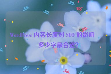 WordPress 內(nèi)容長度對 SEO 的影響，多少字最合適？