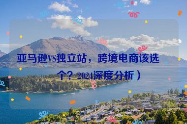 亞馬遜VS獨(dú)立站，跨境電商該選哪個(gè)？2024深度分析）