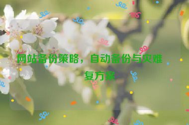 網(wǎng)站備份策略，自動備份與災(zāi)難恢復(fù)方案