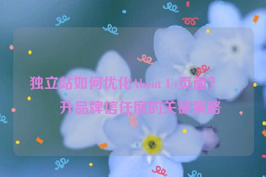 獨(dú)立站如何優(yōu)化About Us頁面？提升品牌信任度的關(guān)鍵策略