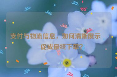 支付與物流信息，如何清晰展示以促成最終下單？