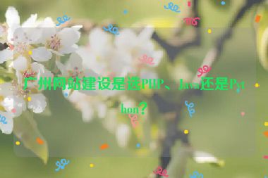 廣州網(wǎng)站建設(shè)是選PHP、Java還是Python？