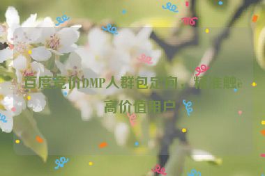 百度競價DMP人群包定向，精準觸達高價值用戶