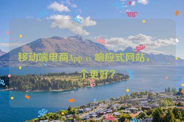 移動(dòng)端電商App vs 響應(yīng)式網(wǎng)站，哪個(gè)更好？