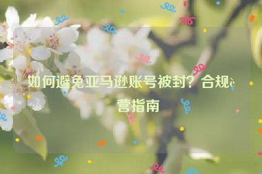 如何避免亞馬遜賬號被封？合規(guī)運(yùn)營指南