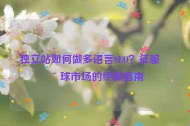 獨(dú)立站如何做多語(yǔ)言SEO？征服全球市場(chǎng)的終極指南