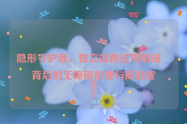 隱形守護者，獨立站跳過導航鏈接背后的無障礙倫理與商業(yè)智慧