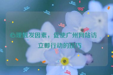 心理觸發(fā)因素，促使廣州網(wǎng)站訪客立即行動的技巧