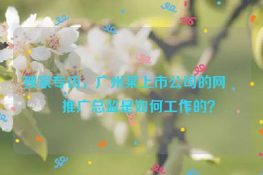 獨(dú)家專訪，廣州某上市公司的網(wǎng)站推廣總監(jiān)是如何工作的？