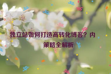 獨立站如何打造高轉化博客？內容策略全解析