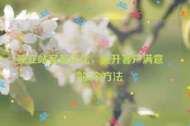 獨(dú)立站客服優(yōu)化，提升客戶滿意度的5個(gè)方法