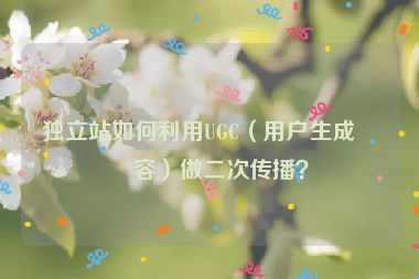 獨(dú)立站如何利用UGC（用戶生成內(nèi)容）做二次傳播？