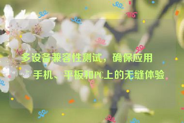 多設(shè)備兼容性測試，確保應(yīng)用在手機(jī)、平板和PC上的無縫體驗(yàn)