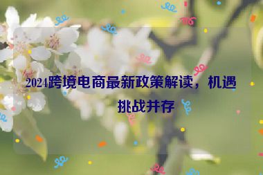 2024跨境電商最新政策解讀，機遇與挑戰(zhàn)并存