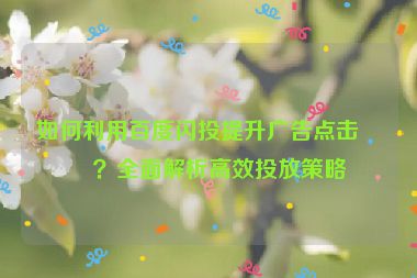 如何利用百度閃投提升廣告點擊率？全面解析高效投放策略