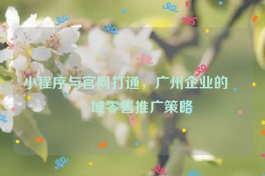 小程序與官網(wǎng)打通，廣州企業(yè)的全域零售推廣策略