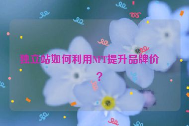 獨(dú)立站如何利用NFT提升品牌價(jià)值？