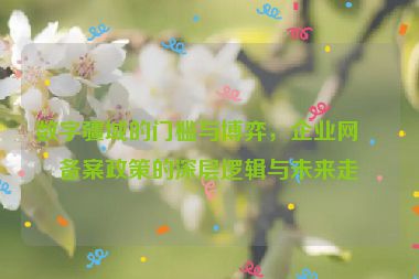 數(shù)字疆域的門檻與博弈，企業(yè)網(wǎng)站備案政策的深層邏輯與未來走向