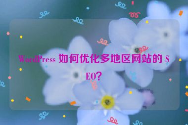 WordPress 如何優(yōu)化多地區(qū)網(wǎng)站的 SEO？