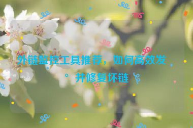 外鏈監(jiān)控工具推薦，如何高效發(fā)現(xiàn)并修復(fù)壞鏈