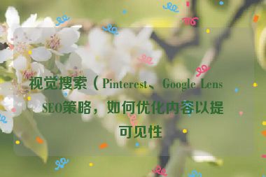 視覺(jué)搜索（Pinterest、Google Lens）SEO策略，如何優(yōu)化內(nèi)容以提升可見(jiàn)性
