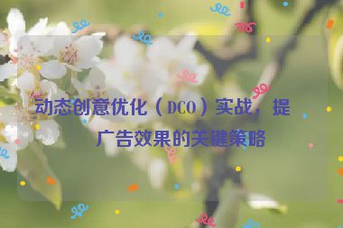 動(dòng)態(tài)創(chuàng)意優(yōu)化（DCO）實(shí)戰(zhàn)，提升廣告效果的關(guān)鍵策略