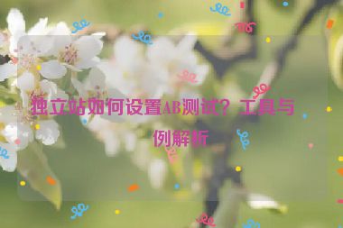 獨立站如何設置AB測試？工具與案例解析