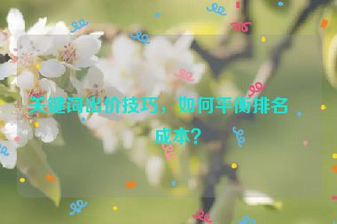 關(guān)鍵詞出價技巧，如何平衡排名和成本？