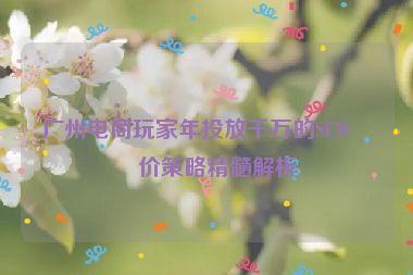 廣州電商玩家年投放千萬的SEM競價策略精髓解析
