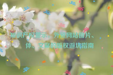 知識(shí)產(chǎn)權(quán)警示，外貿(mào)網(wǎng)站圖片、字體、文案的版權(quán)避坑指南