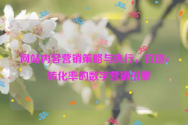 網(wǎng)站內(nèi)容營(yíng)銷策略與執(zhí)行，打造高轉(zhuǎn)化率的數(shù)字營(yíng)銷引擎