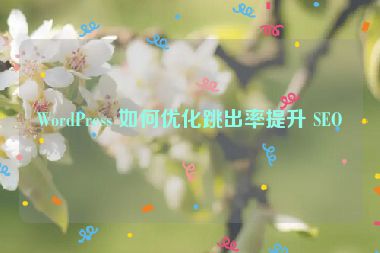 WordPress 如何優(yōu)化跳出率提升 SEO？