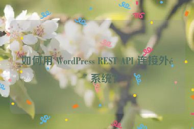 如何用 WordPress REST API 連接外部系統(tǒng)？