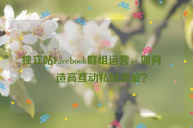 獨立站Facebook群組運營，如何打造高互動私域流量？