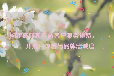 構(gòu)建高效獨(dú)立站客戶服務(wù)體系，提升用戶體驗(yàn)與品牌忠誠(chéng)度