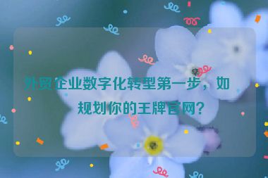 外貿(mào)企業(yè)數(shù)字化轉(zhuǎn)型第一步，如何規(guī)劃你的王牌官網(wǎng)？