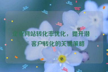 企業(yè)網(wǎng)站轉(zhuǎn)化率優(yōu)化，提升潛在客戶轉(zhuǎn)化的關(guān)鍵策略