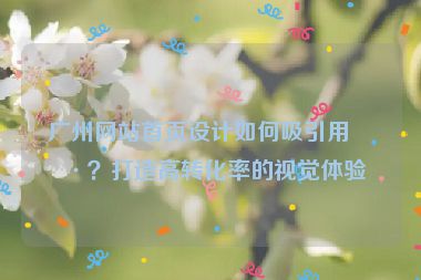 廣州網(wǎng)站首頁(yè)設(shè)計(jì)如何吸引用戶？打造高轉(zhuǎn)化率的視覺(jué)體驗(yàn)